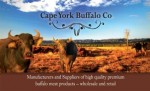 cape-york-buffalo